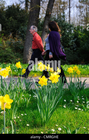 Paris, France, un couple marchant dans parc de Bagatelle avec fleurs jaune jonquille Banque D'Images