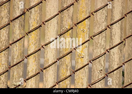 Clôture en fil métallique à lattes recouvert de mousse et de lichens Banque D'Images