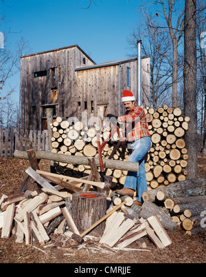 La coupe de bois de chauffage Banque D'Images