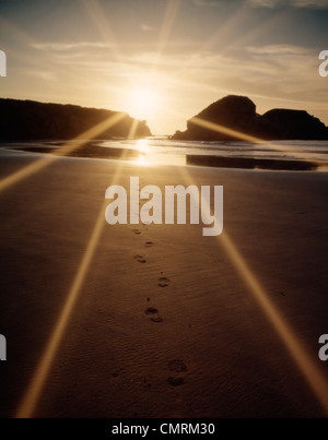 SUNBURST FOOTPRINTS IN SAND SAND DOLLAR BEACH CALIFORNIE Banque D'Images