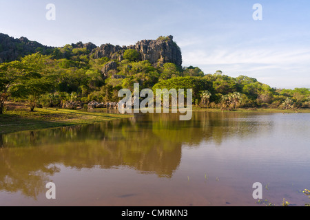Massif de l'Ankarana, nord de Madagascar Banque D'Images