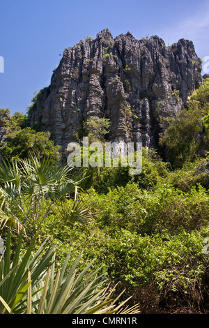 Massif de l'Ankarana, nord de Madagascar Banque D'Images