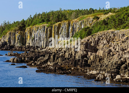 Falaises de lave basaltique du jurassique sur la rive sud de l'île Brier, baie de Fundy, l'Océan Atlantique (Nouvelle-Écosse) Banque D'Images
