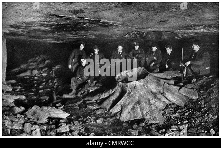 1918 souche d'arbre pétrifié à Cork et Mine Bouteille Scranton en Pennsylvanie Banque D'Images