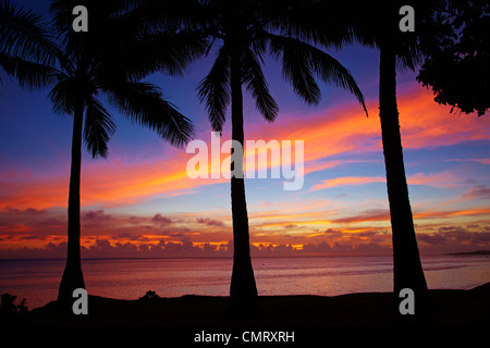 Coucher du soleil et des palmiers, la Côte de Corail, Viti Levu, Fidji, Pacifique Sud Banque D'Images