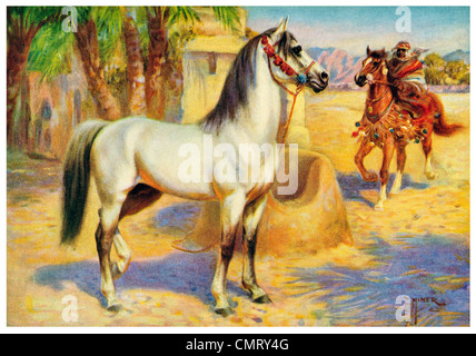 Cheval Arabe 1923 Banque D'Images