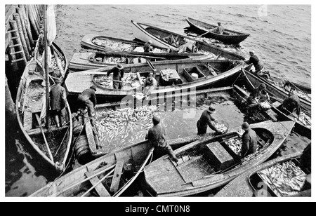 Les pêcheurs de hareng de 1923 à Lockeport Cannery en Nouvelle-Écosse Banque D'Images