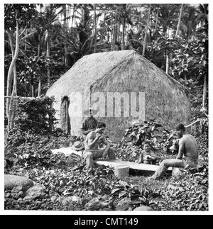 1924 Grass House New York 1890 Bishop Museum Banque D'Images