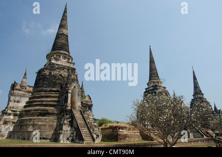 La Thaïlande, ayutthaya. Wat Phra si sanphet, la maison historique du palais royal à partir de 1350-1448, Banque D'Images