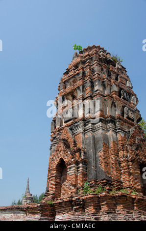 La Thaïlande, ayutthaya. Wat Mahathat (aka Wat Maha That) a été l'historique royal monastery et remonte à 1374. Banque D'Images