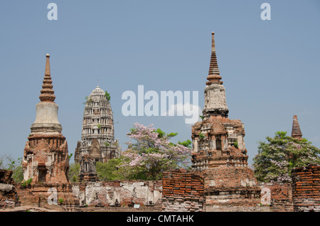 La Thaïlande, ayutthaya. Wat Mahathat (aka Wat Maha That) a été l'historique royal monastery et remonte à 1374. Banque D'Images