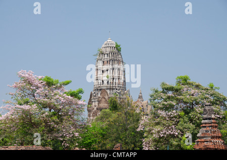 La Thaïlande, ayutthaya. Wat Mahathat (aka Wat Maha That) a été l'historique royal monastery et remonte à 1374. Banque D'Images