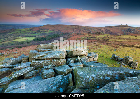 Les affleurements de granit à Hound Tor, à la recherche sur la lande vers les roches Haytor, Dartmoor National Park Banque D'Images