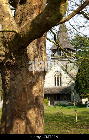 Un platane dans les motifs de la 15e siècle église St Barthélemy style perpendiculaire à Leigh Village, Surrey Banque D'Images