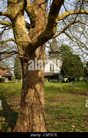 Un platane dans les motifs de la 15e siècle église St Barthélemy style perpendiculaire à Leigh Village, Surrey Banque D'Images