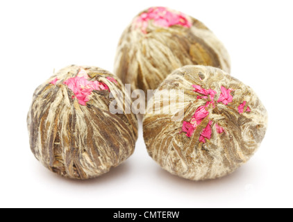 Fleurs de thé chinois isolé sur fond blanc Banque D'Images