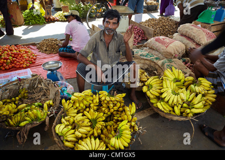 Sri Lanka - COLOMBO, les bananes vendeur de vendre des fruits au marché de la ville Banque D'Images