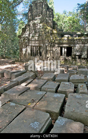 Ta Prohm temple Angkor Cambodge Banque D'Images