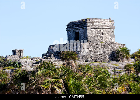 Ruines mayas dans le soleil avant qu'un ciel bleu clair à Tulum, Quintana Roo, Mexique. Banque D'Images