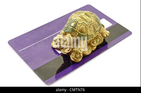 Tortue Feng Shui argent assis sur la carte de crédit concept riche Banque D'Images