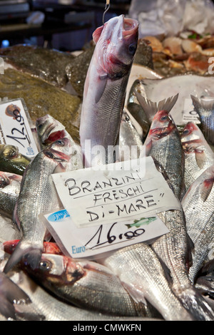 Le marché aux poissons, le Rialto, Venise, Vénétie, Italie Banque D'Images