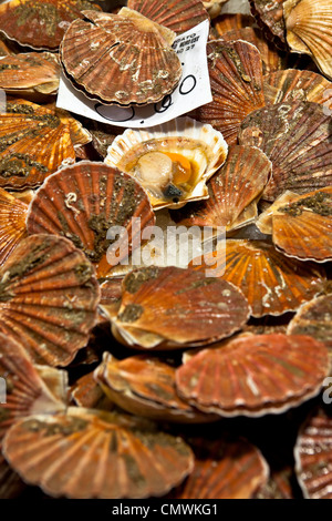 Le marché aux poissons, le Rialto, Venise, Vénétie, Italie Banque D'Images