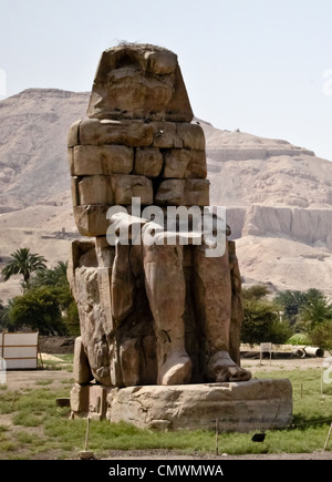 Les géants de Memnon sites près du temple sacré de Louxor en Égypte Banque D'Images