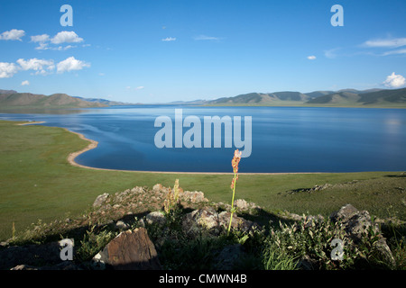 Paysage du Grand Lac Blanc (Terkhiin Tsagaan Nuur), la Mongolie Banque D'Images