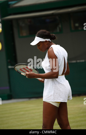 Venus Williams (USA) sur le court au 2ème tour du championnat de tennis de Wimbledon 2011 Banque D'Images