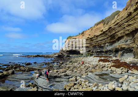 Falaises rocheuses le long de la côte du Pacifique. La Jolla, Californie, USA. Banque D'Images