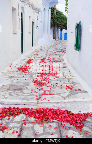 Bougainvillea tombé dans une allée de pétales le village de Chora, sur l'île grecque de l'île d'Amorgos. Banque D'Images