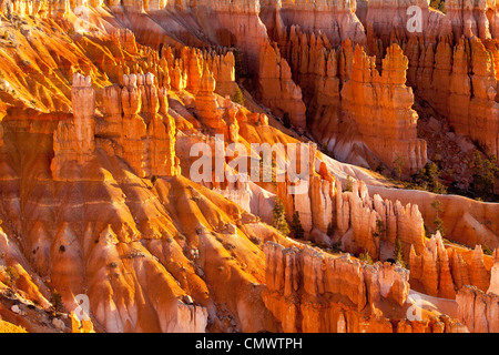 - Formations de roche, Hoodoos à Sunset Point, Bryce Canyon National Park, Utah USA Banque D'Images