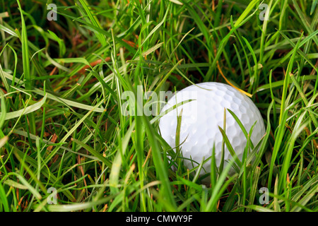 Photo d'une balle de golf se trouvant dans l'herbe rugueuse Banque D'Images