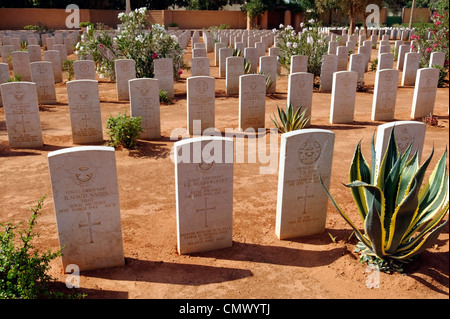 Benghazi. La Cyrénaïque. La Libye. Vue sur le Cimetière des sépultures de guerre du Commonwealth à Benghazi. Il y a 1 214 militaires du Commonwealth de Banque D'Images