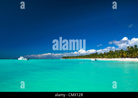 Belle plage des Caraïbes sur l'île de Saona Banque D'Images