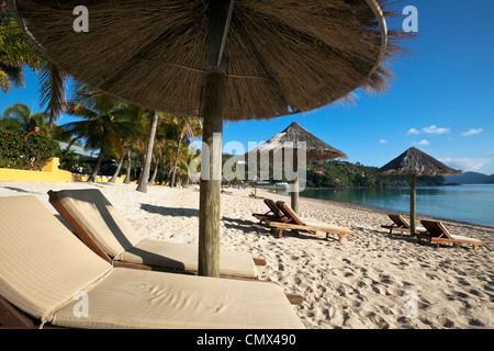 Des chaises longues et des parasols sur la plage de Catseye. Hamilton Island, Whitsundays, Queensland, Australie Banque D'Images