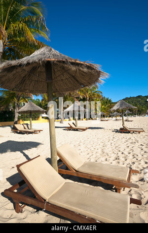 Des chaises longues et des parasols sur la plage de Catseye. Hamilton Island, Whitsundays, Queensland, Australie Banque D'Images