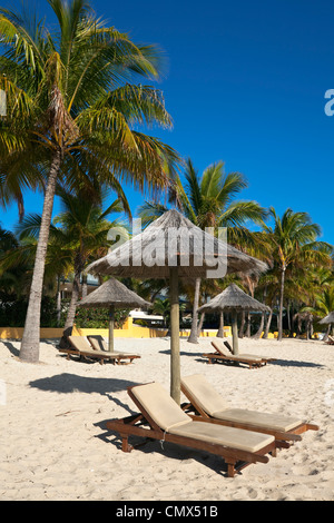 Des chaises longues et des parasols sur la plage de Catseye. Hamilton Island, Whitsundays, Queensland, Australie Banque D'Images