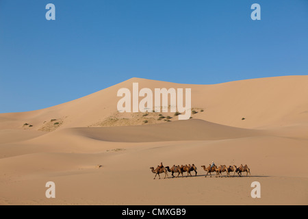 Camel et le cavalier à pied sur désert de Gobi en Mongolie, des dunes de sable Khongor Banque D'Images