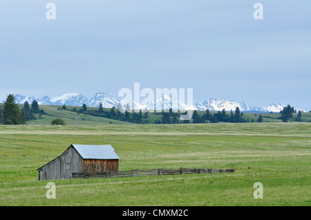 Ancienne grange et corral sur la Prairie de l'Idaho Zumwalt avec Devil sept montagnes en arrière-plan. Au nord-est de l'Oregon. Banque D'Images