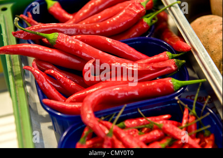 Gros plan d'une photo de vitrage, brillant poivrons de cayenne regroupés dans des paniers de mini bleu sur un bac vert dans un marché d'alimentation. Banque D'Images