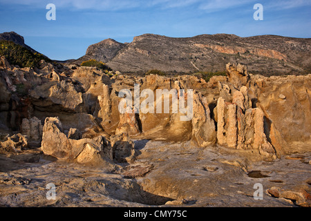 La forêt pétrifiée de Cavomalias (Cap Maleas), près de la ville de Neapolis, Vatika, Laconie, Péloponnèse, Grèce Banque D'Images