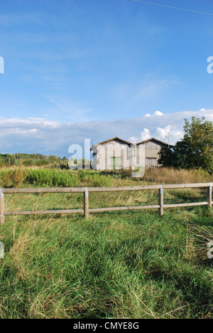 Maison rurale et clôture en bois dans le pré en été, Cervia, Ravenne, Italie Banque D'Images