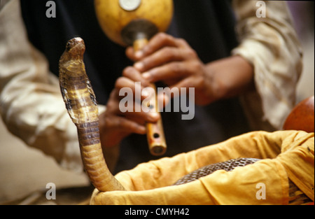 Charmeur de serpent en Inde Banque D'Images