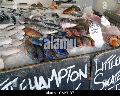 Royaume-uni littlehampton un poisson humide d'afficher sur un étal poissonnerie Banque D'Images