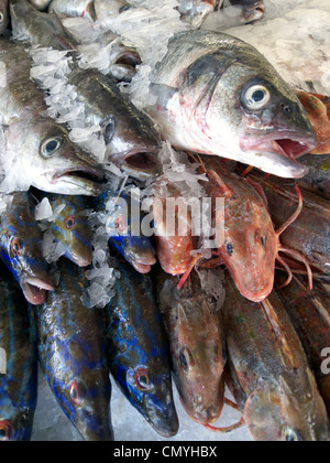 Royaume-uni littlehampton un poisson humide d'afficher sur un étal poissonnerie Banque D'Images