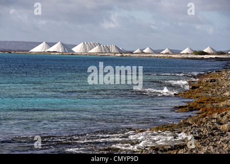West Indies, Bonaire, salines, mine de sel de mer de Pekelmeer Banque D'Images