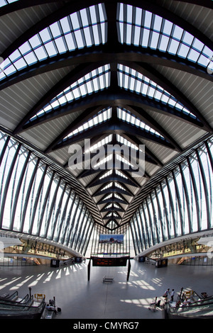 Gare TGV à l'aéroport de Lyon par l'architecte Santiago Calatrava, Lyon, Rhône-Alpes, France Banque D'Images