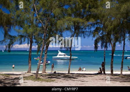 La Pointe aux Canonniers plage publique, filoas arbres, côte nord-est l'Île Maurice, l'Afrique Banque D'Images