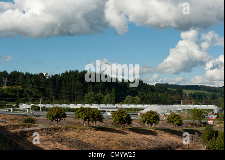 Centrale géothermique de Wairakei, Taupo, Nouvelle-Zélande Banque D'Images